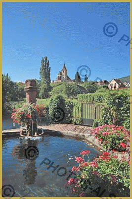 Photo au mois de juillet de la fontaine Sainte-Hune en fleurs, au pied du vignoble, avec en fond, l