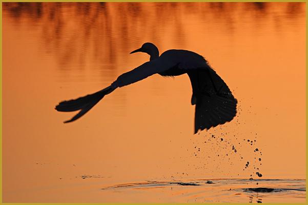 Photo à contre-jour d